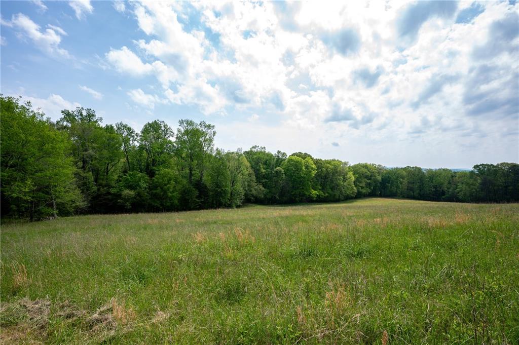 0 Bicentennial Trail Property Photo 19
