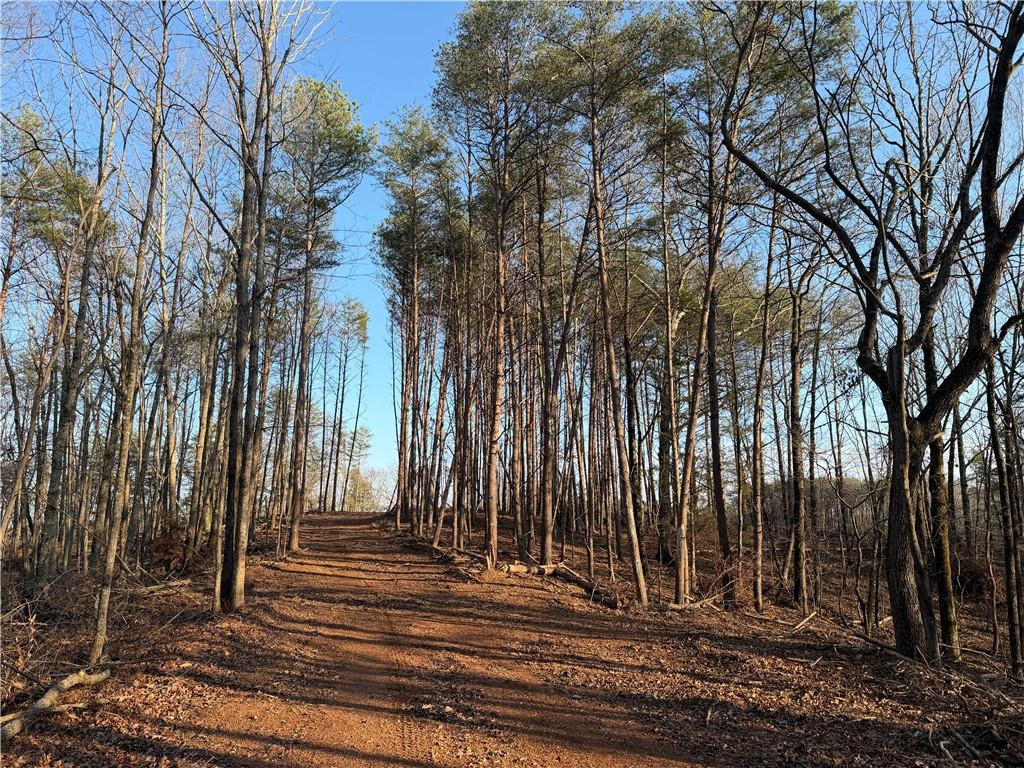 260 Arnold Road Property Photo 9