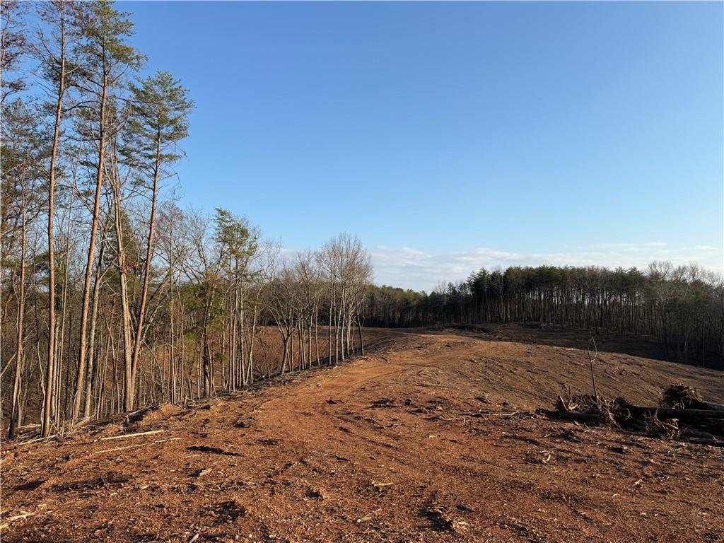 260 Arnold Road Property Photo 10