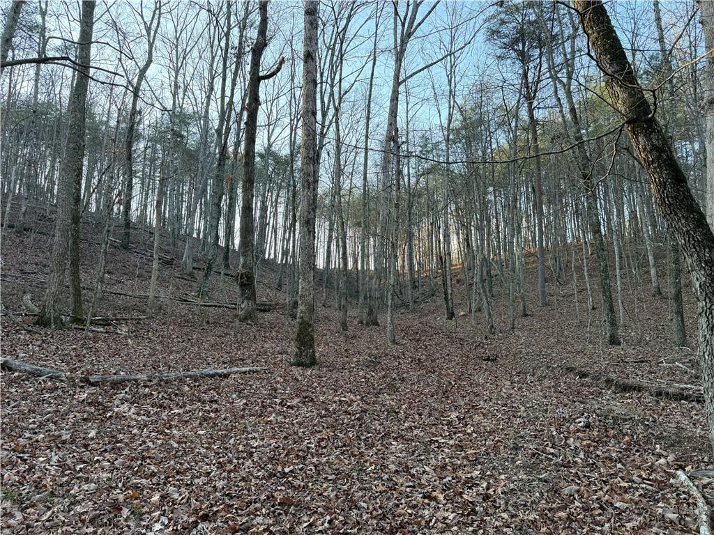 260 Arnold Road Property Photo 12