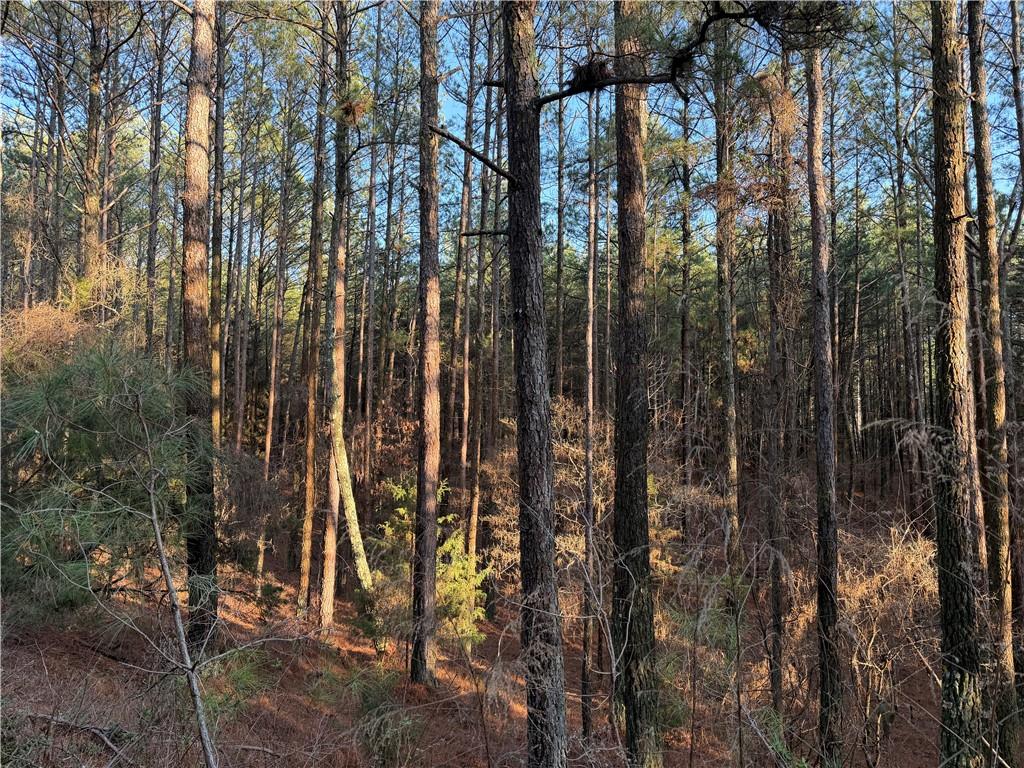 260 Arnold Road Property Photo 23