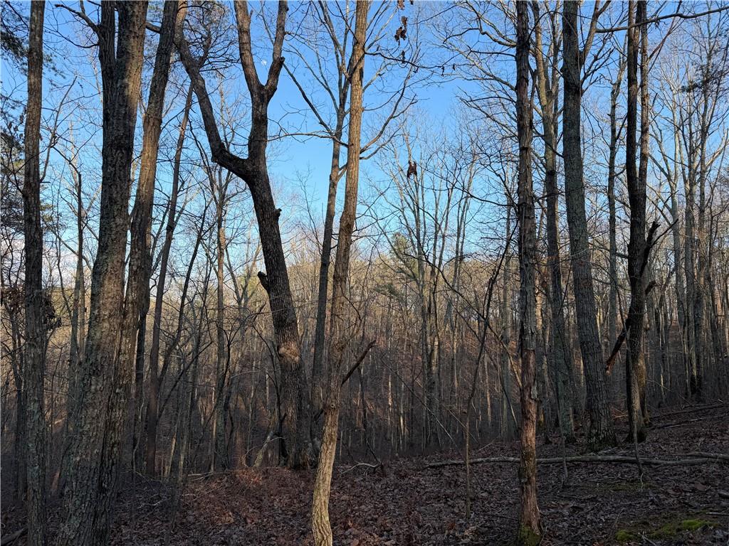 260 Arnold Road Property Photo 28