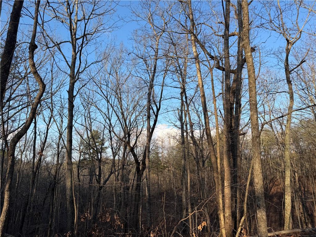 260 Arnold Road Property Photo 31