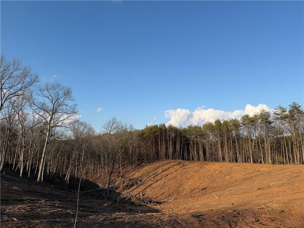 260 Arnold Road Property Photo 33