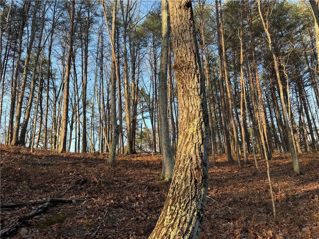 260 Arnold Road Property Photo 35