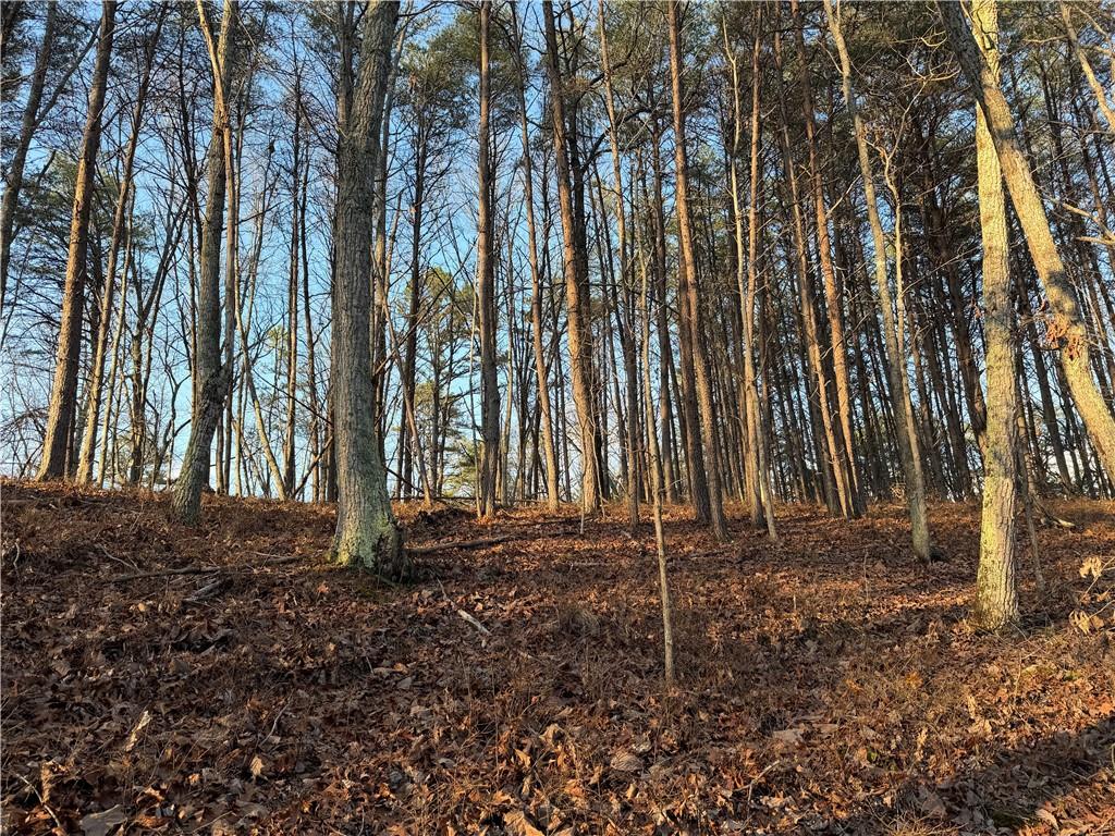 260 Arnold Road Property Photo 36