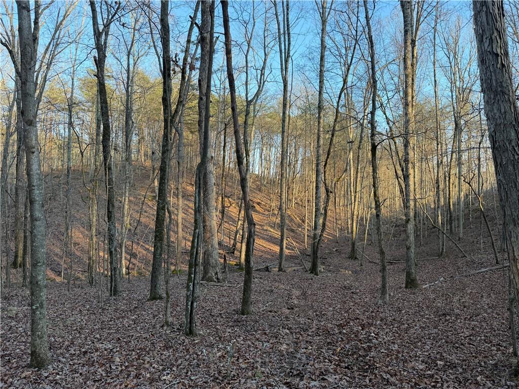260 Arnold Road Property Photo 38