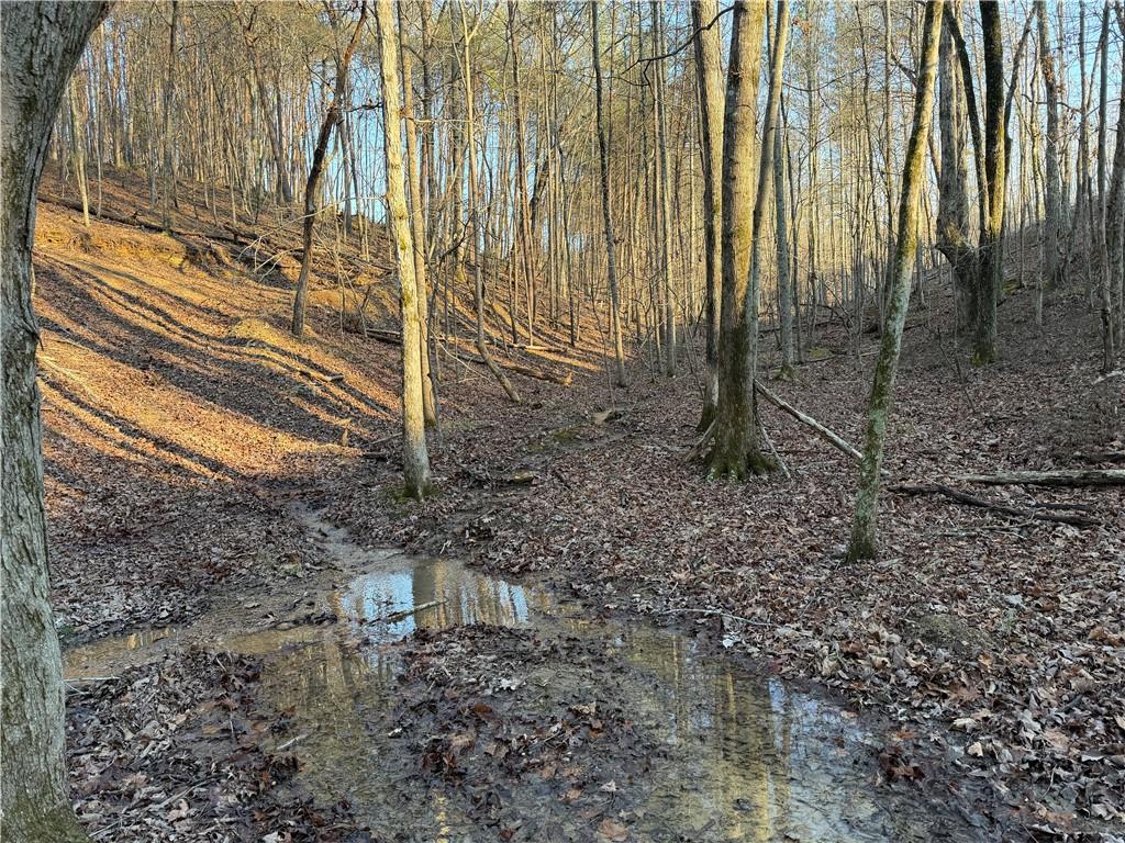 260 Arnold Road Property Photo 39