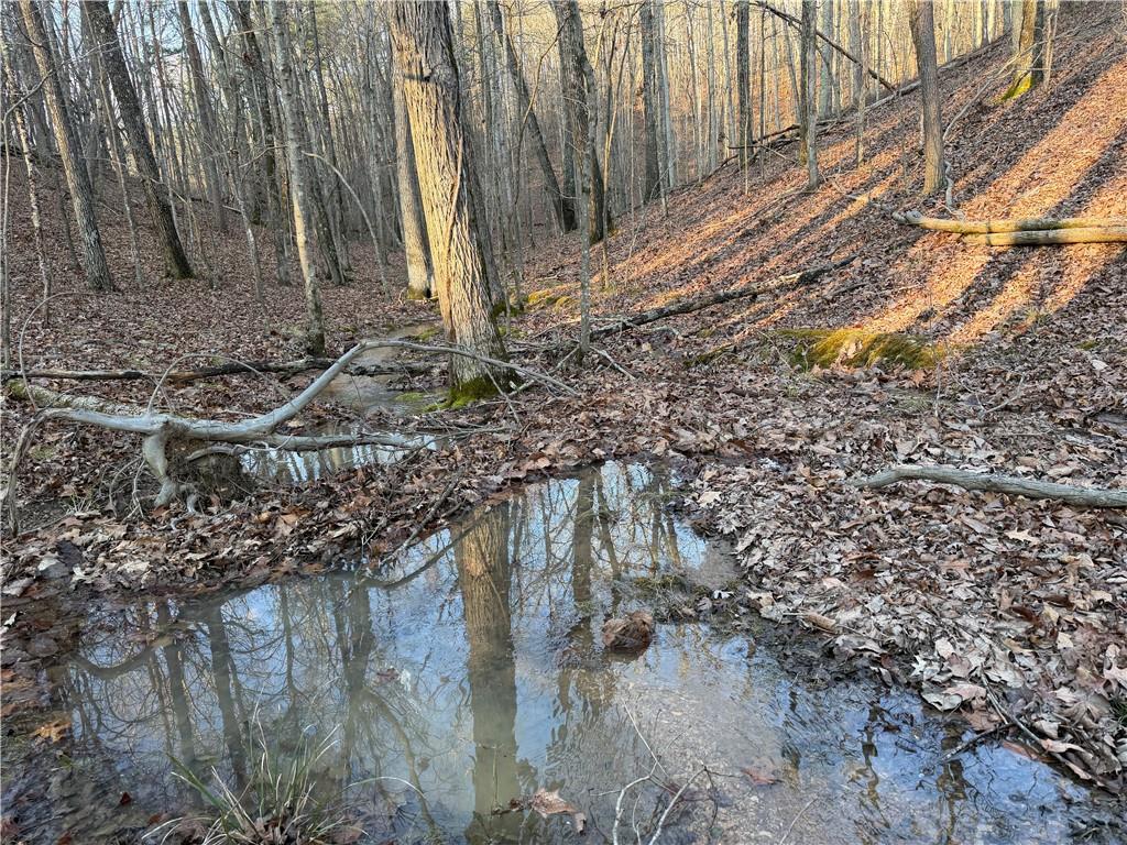 260 Arnold Road Property Photo 40
