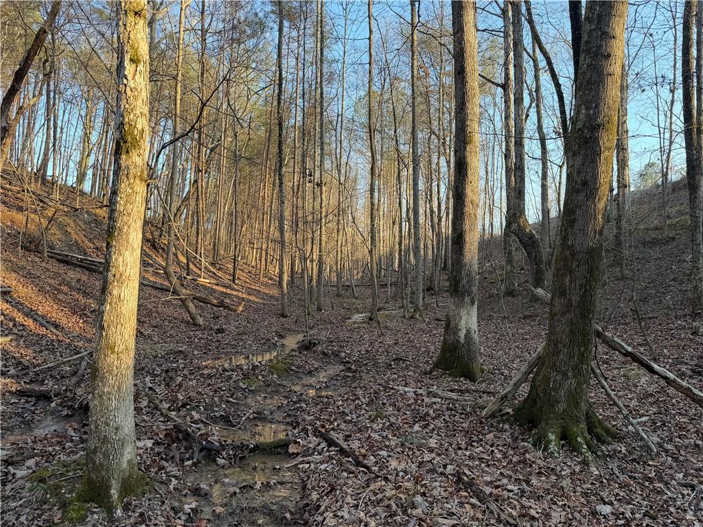 260 Arnold Road Property Photo 41