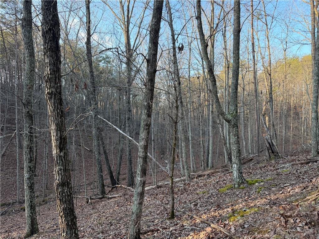 260 Arnold Road Property Photo 42
