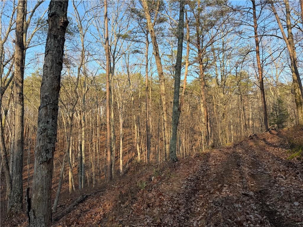 260 Arnold Road Property Photo 43