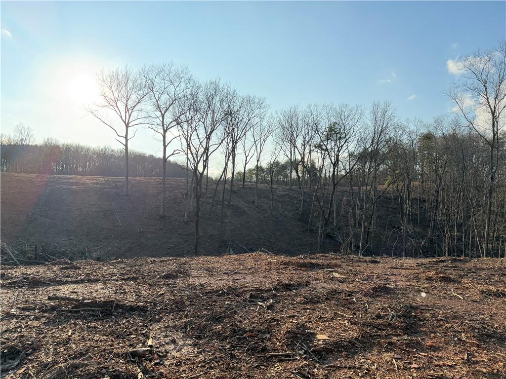 260 Arnold Road Property Photo 45