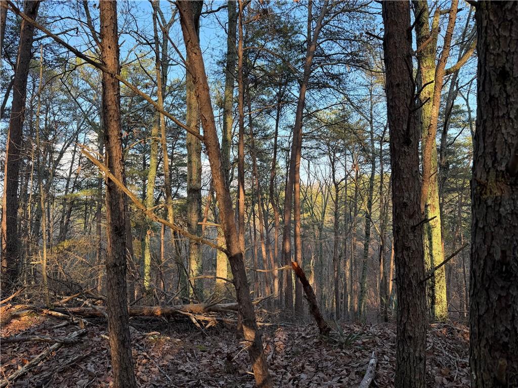 260 Arnold Road Property Photo 47