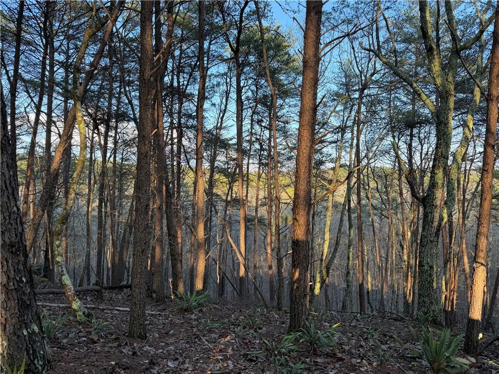 260 Arnold Road Property Photo 49