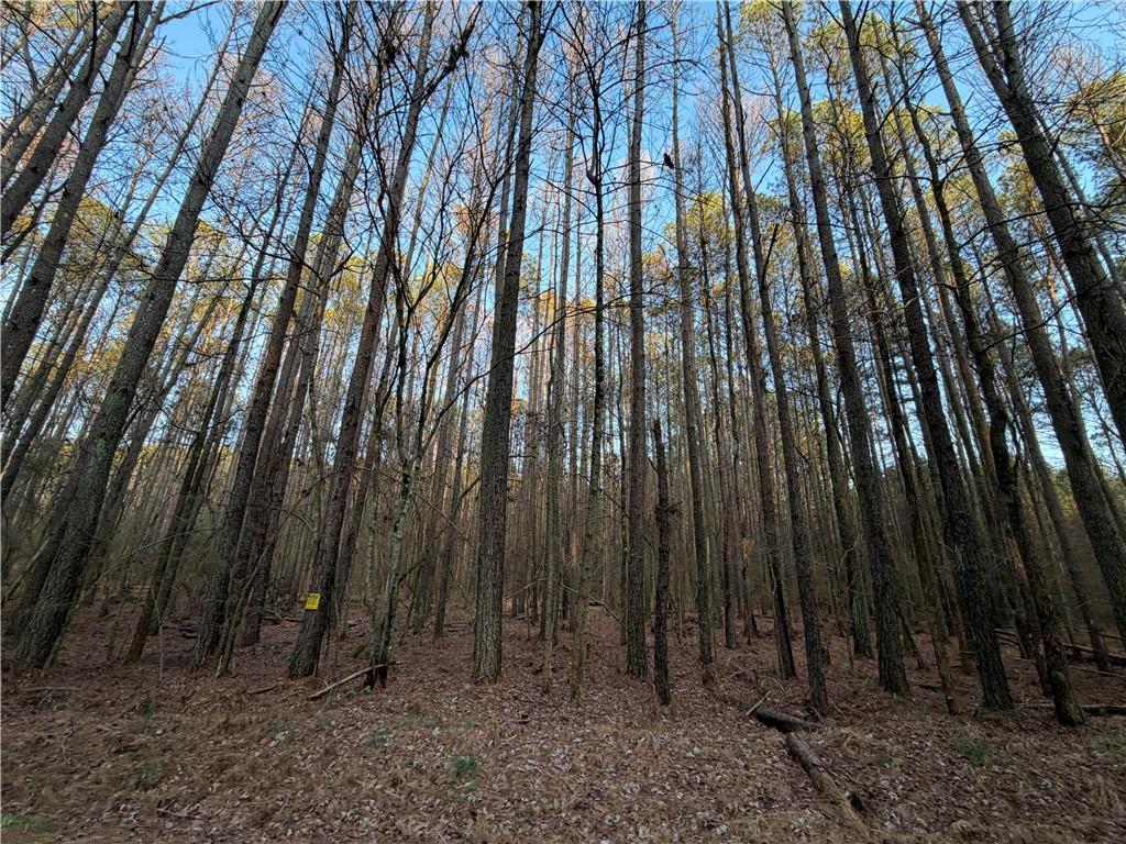 260 Arnold Road Property Photo 53
