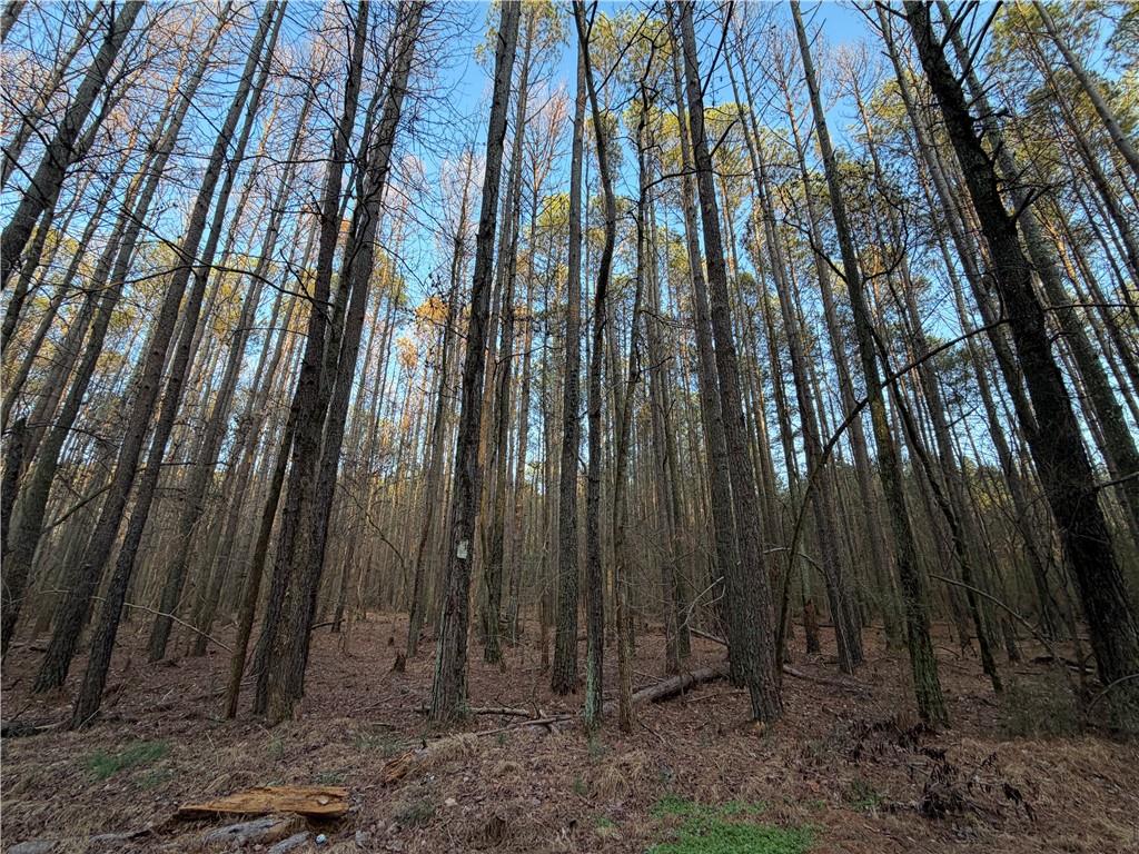 260 Arnold Road Property Photo 54