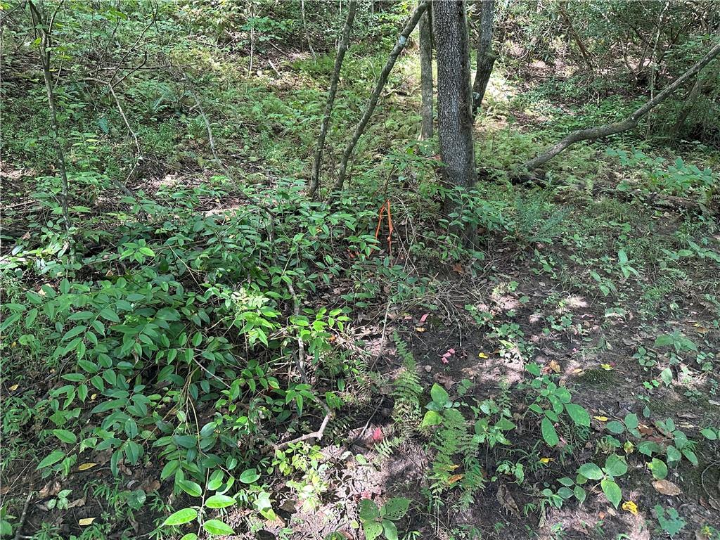 5, 10 Riverview Dr And Pine Trail Property Photo 1