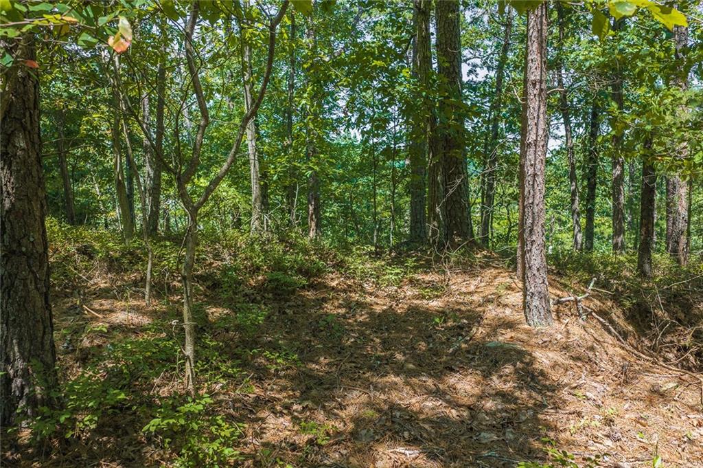 694-95 Railey Ridge Property Photo 6