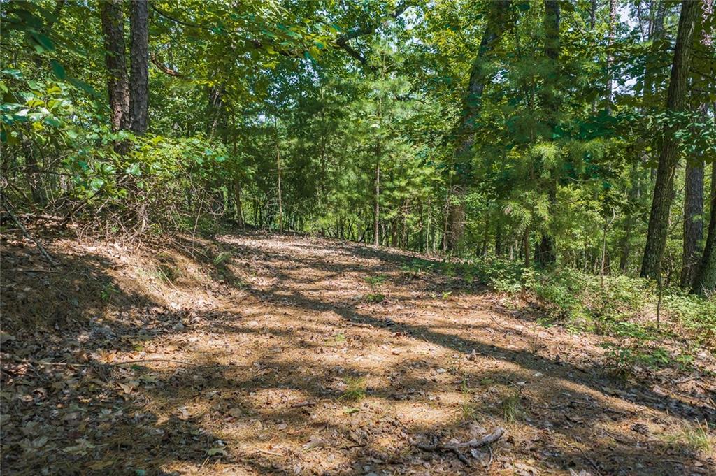 694-95 Railey Ridge Property Photo 9
