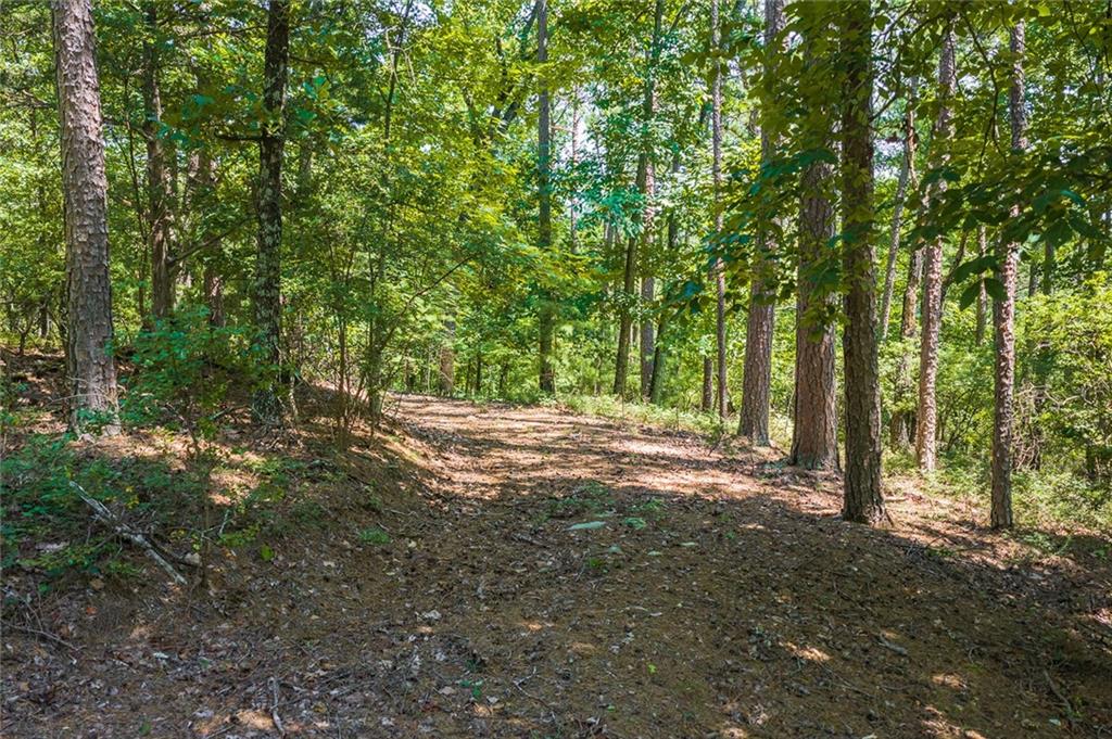 694-95 Railey Ridge Property Photo 10
