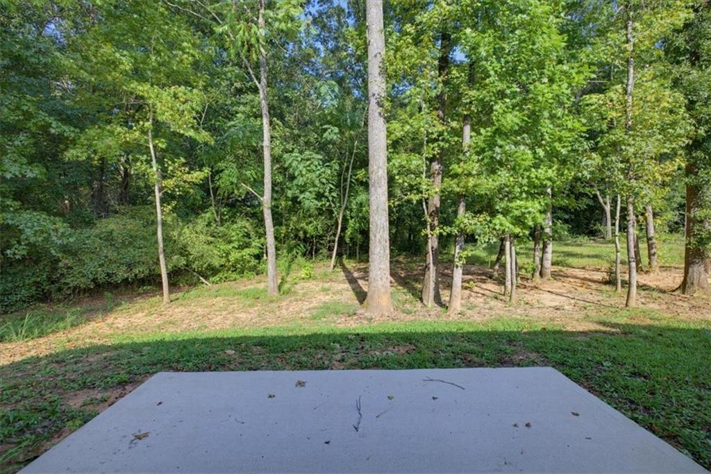 2320 Spring Brook Drive Property Photo 34