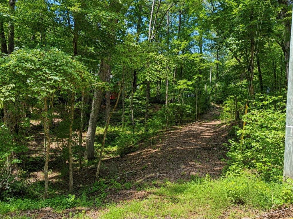 6195 Belle Meade Drive Property Photo 1