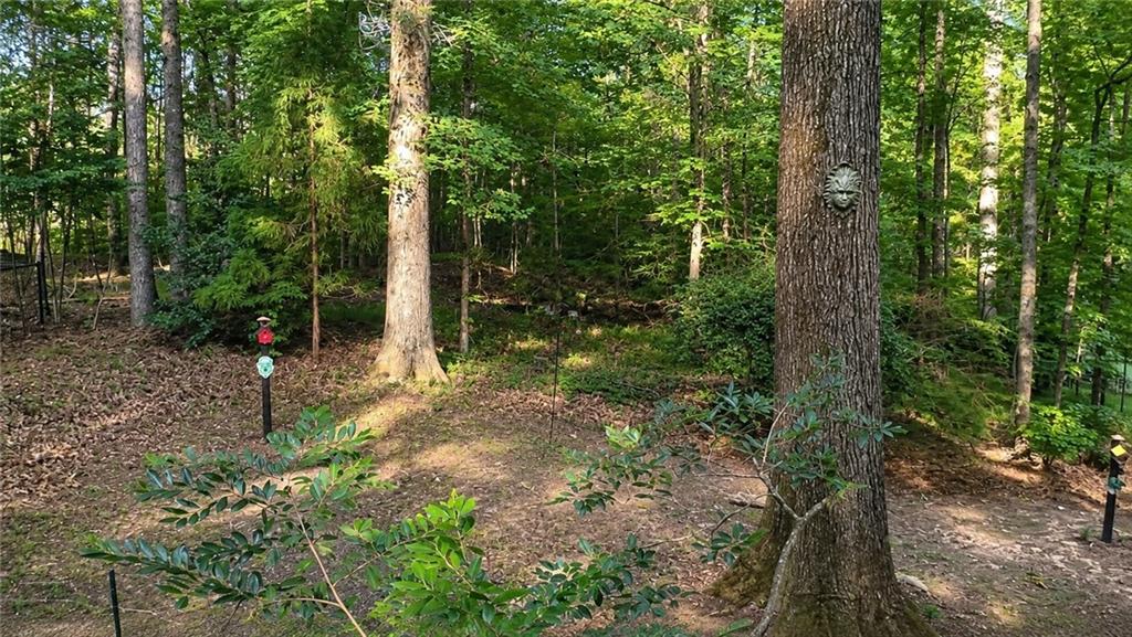 125 Maple Place Property Photo 28