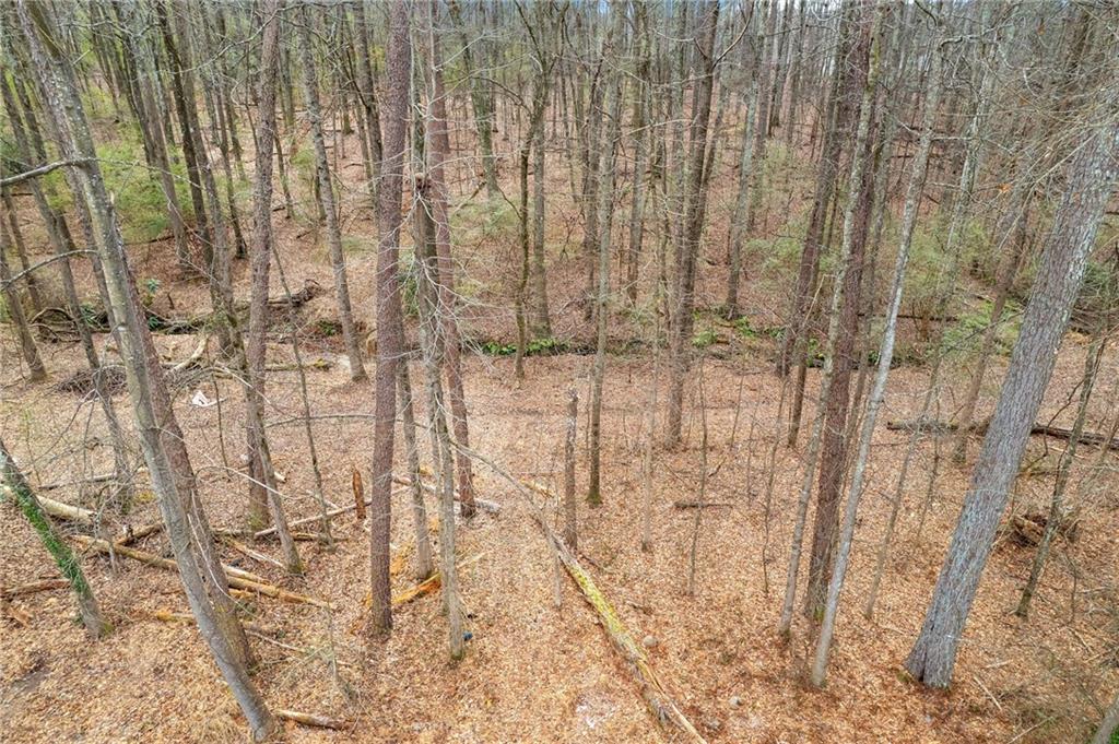 236 Hidden Court Property Photo 31