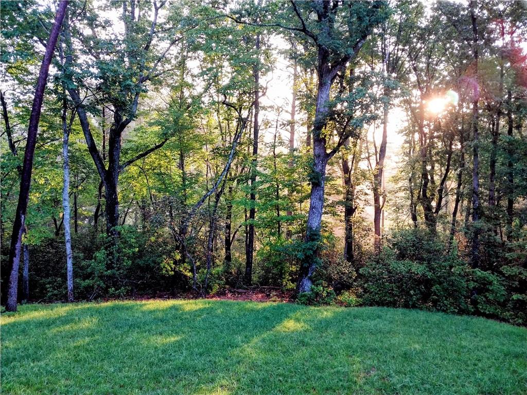 254 Spring Crest Road Property Photo 66