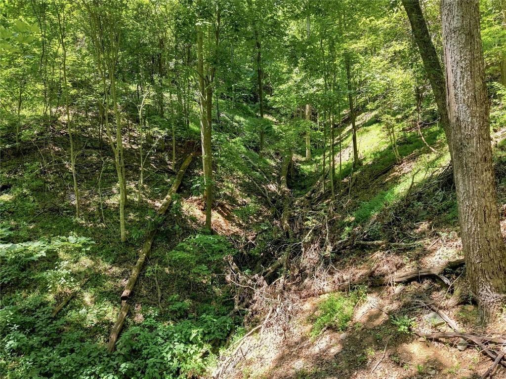 107 Disharoon Drive Property Photo 66