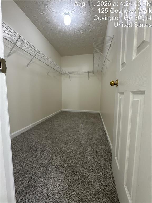 125 Goshawk Walk Property Photo 34