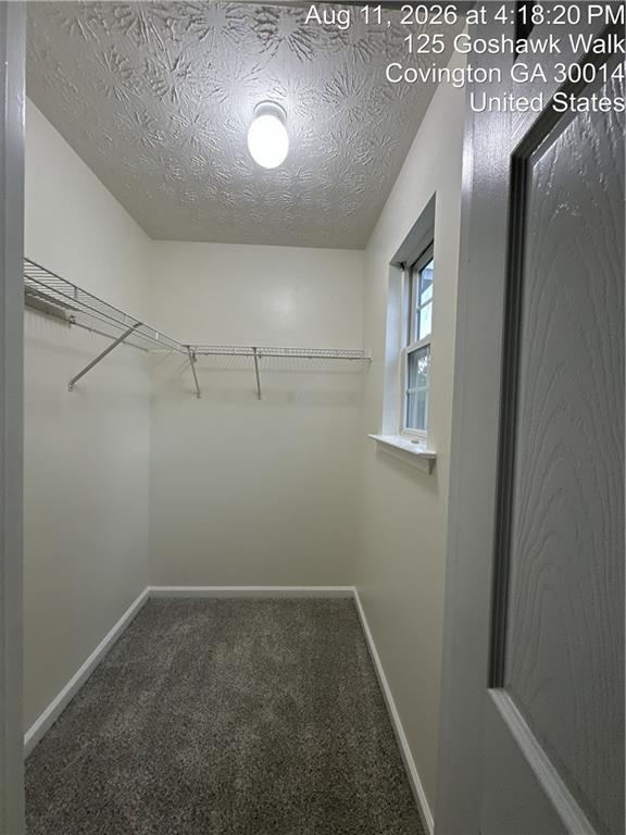 125 Goshawk Walk Property Photo 43