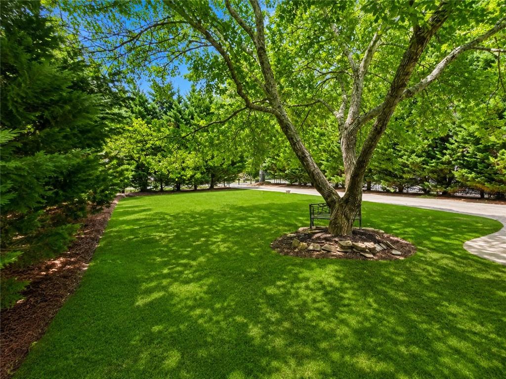 730 Tab Roberts Road Property Photo 5