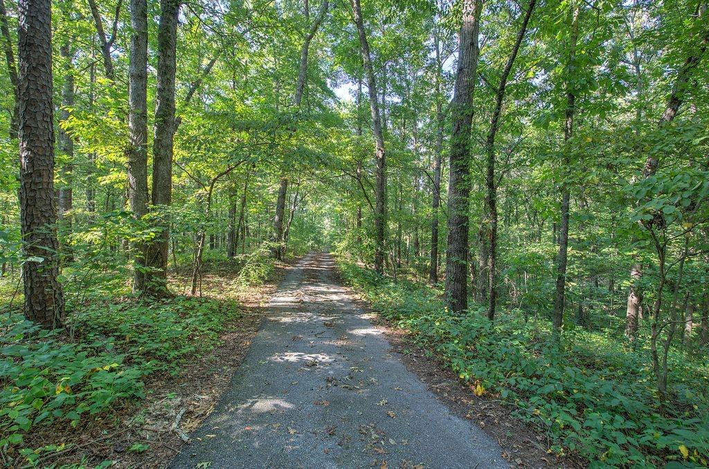 6354 Ga-20 Property Photo 47