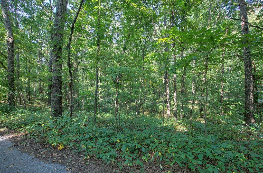 6354 Ga-20 Property Photo 48
