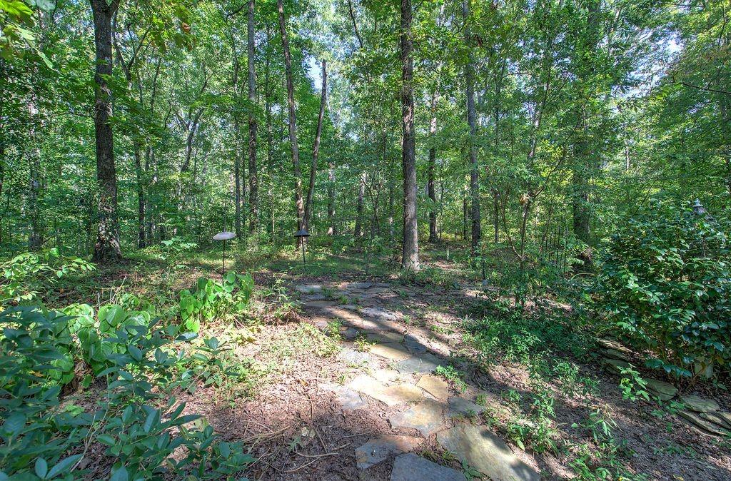6354 Ga-20 Property Photo 52