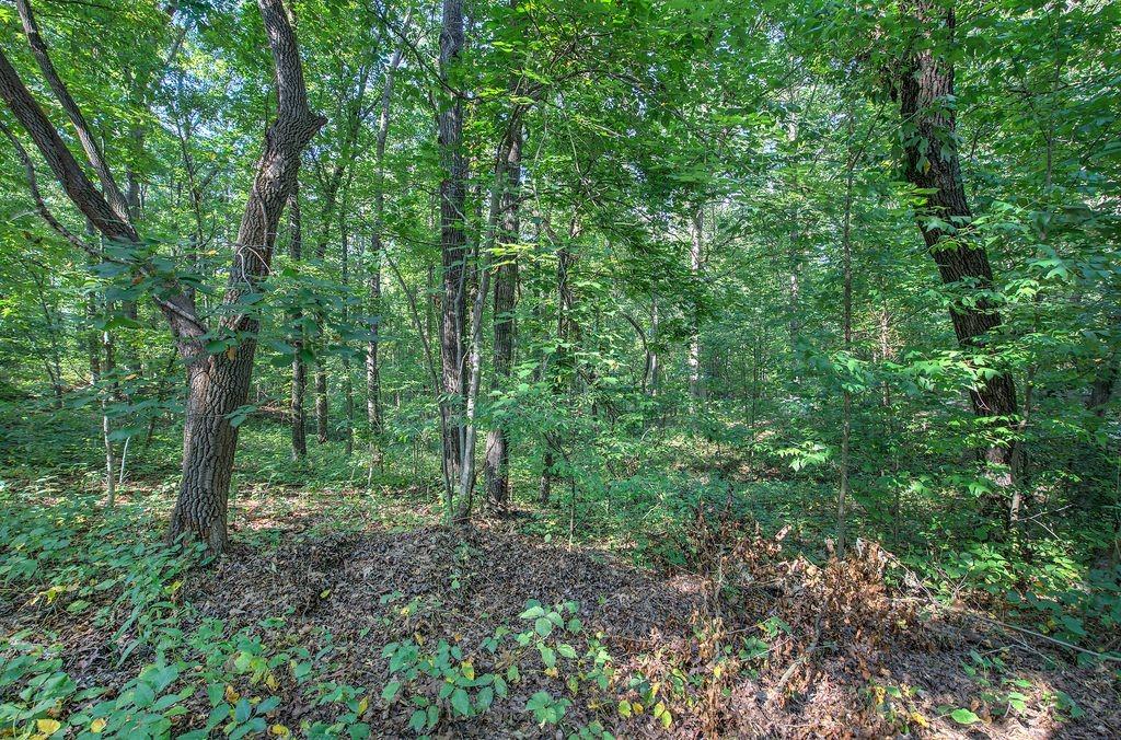 6354 Ga-20 Property Photo 53