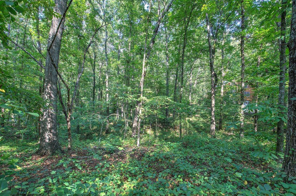 6354 Ga-20 Property Photo 54