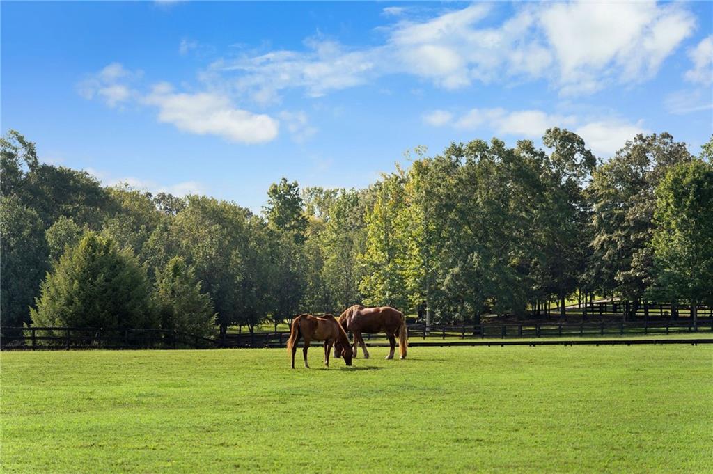75 Rivercreek Crossing Property Photo 4
