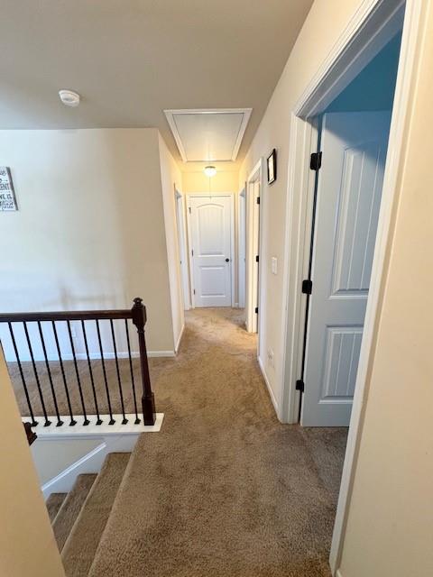 4163 Potomac Walk Court Property Photo 14