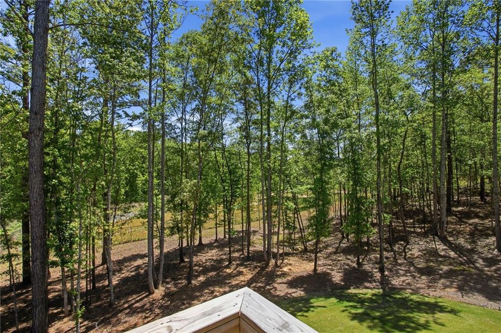 25 Timber Trace Property Photo 81