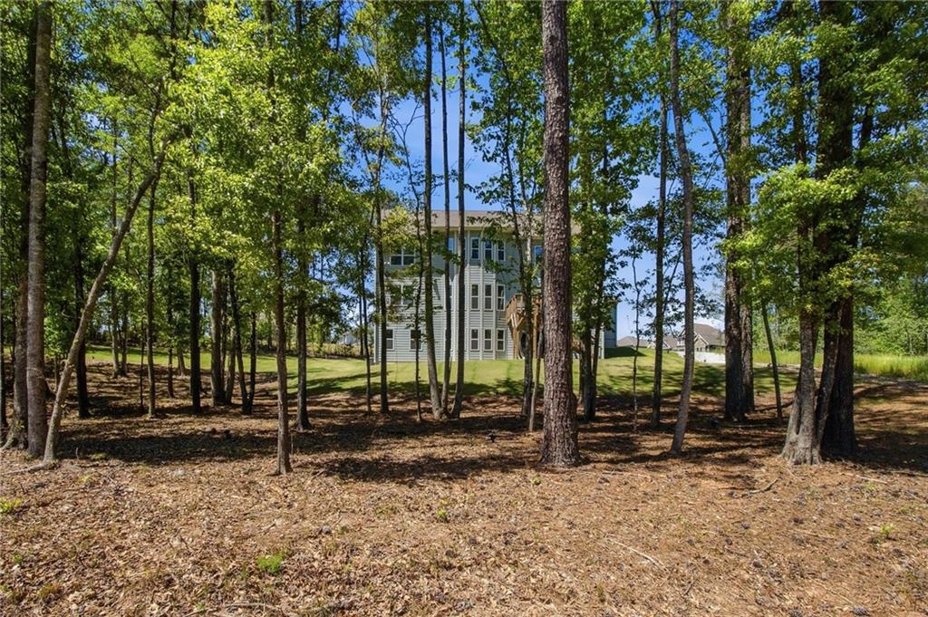 25 Timber Trace Property Photo 88