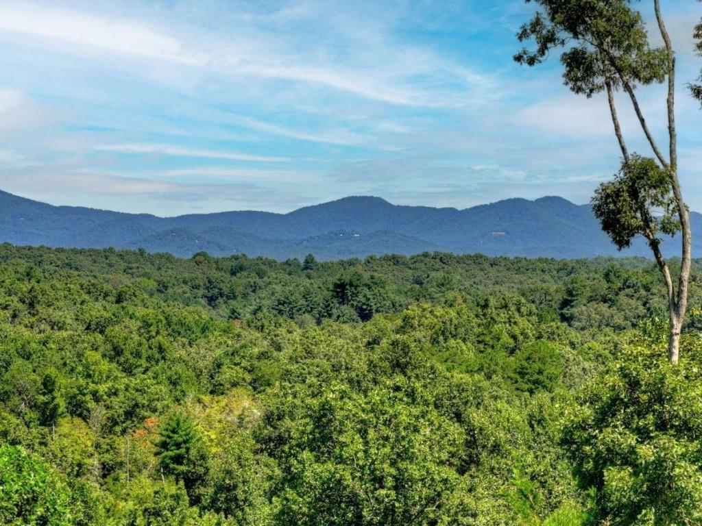 320 Amber Ridge Property Photo 2