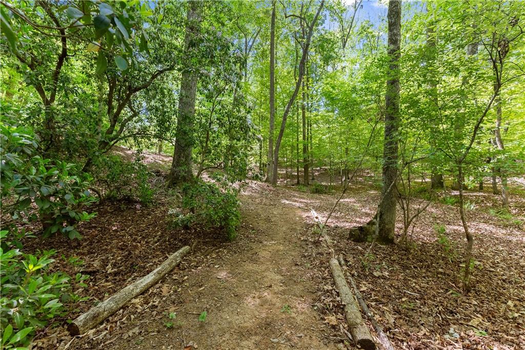 3560 Greystone Road Property Photo 56