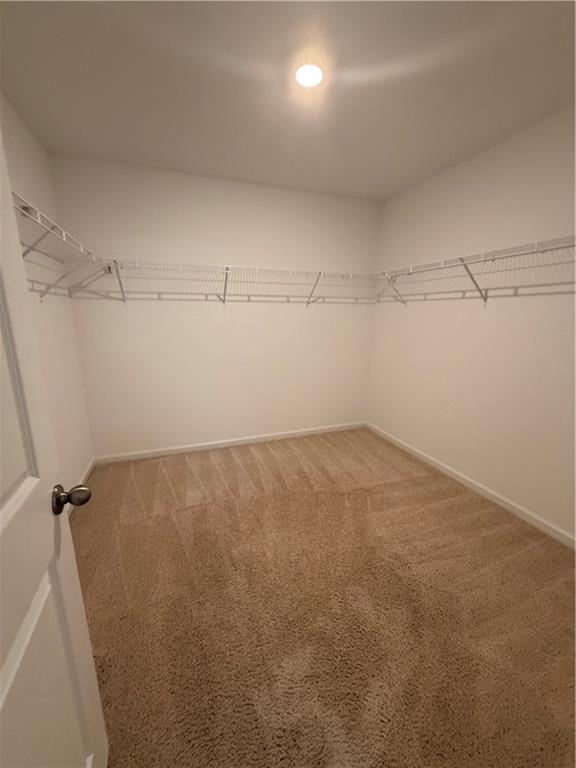 3326 Colbury Street Property Photo 23