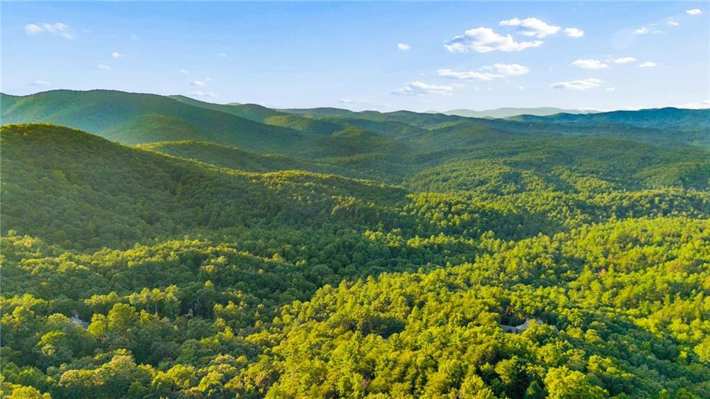 252 Wild Turkey Bluff Property Photo 64