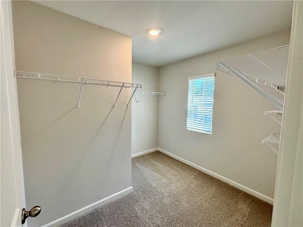 2910 Daxton Lane Property Photo 22