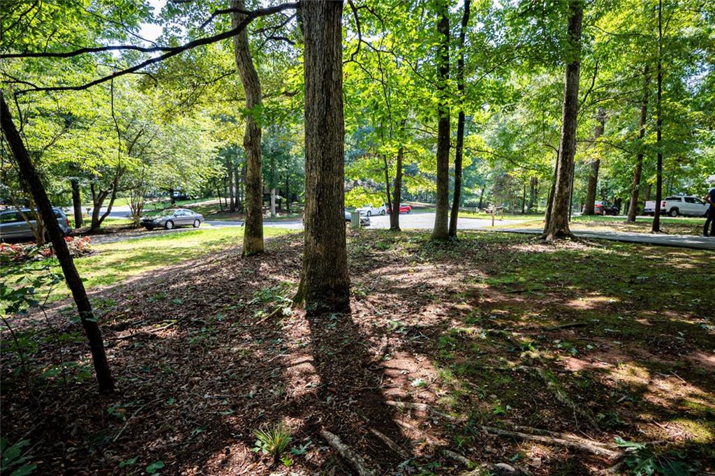 405 Radcliffe Trace Property Photo 62