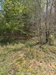 390 Fields Road Property Photo 5